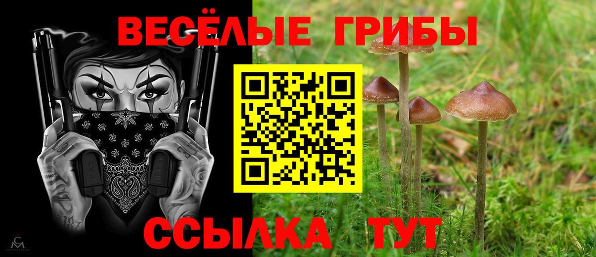 Новоуральск  Галлюциногенные грибы Magic Shrooms  Галлюциногенные грибы MAGIC MUSHROOMS  Вход с VPN 